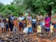 ஏ.பி.நாடானூரில் 4000 பனை விதைகள் விதைப்பு!