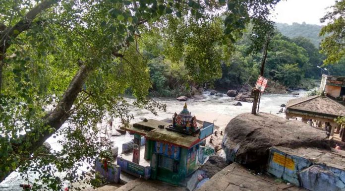 அகஸ்தியர் அருவிக்கு செல்ல தடை நீடிப்பு- பாபநாசத்தில் குளிக்க மக்கள் அலைமோதல்