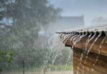 dec-1-2-2020-rain-in-nellai-tenkasi-districts-update