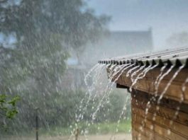 dec-1-2-2020-rain-in-nellai-tenkasi-districts-update