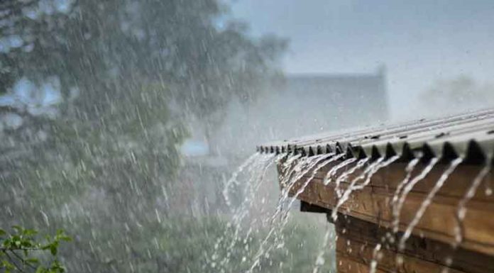 dec-1-2-2020-rain-in-nellai-tenkasi-districts-update
