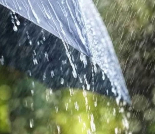 heavy-rain-expected-in-tirunelveli-and-tenkasi-district