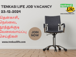 tenkasi-tirunelveli-tuticorin-job-vacancy-dec-23-2024