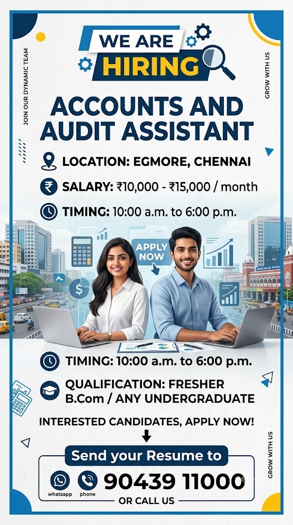 Accounts and audit assistant