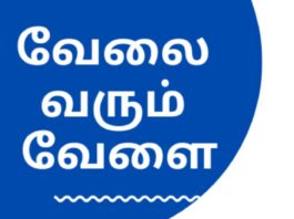 Tenkasi Life Job Vacancy 01-08-2026 தென்காசி, நெல்லை, தூத்துக்குடி வேலைவாய்ப்பு செய்திகள் Tenkasi Life Job Vacancy