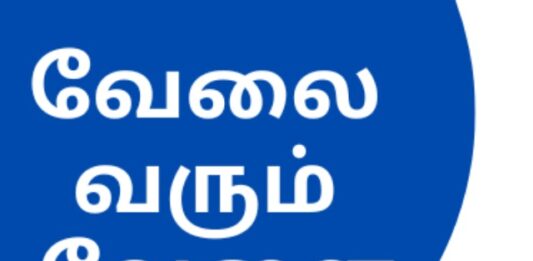 Tenkasi Life Job Vacancy 23-08-2026 – தென்காசி, நெல்லை, தூத்துக்குடி வேலைவாய்ப்பு செய்திகள் Tenkasi Life Job Vacancy