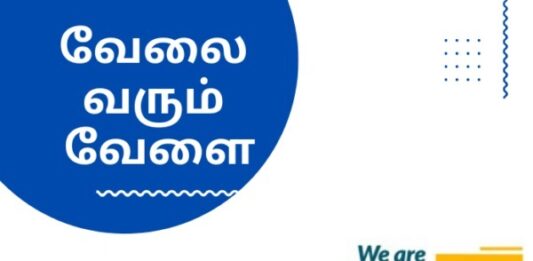 Tenkasi Life Job Vacancy 06.08.2026 – அனைத்து மாவட்ட வேலைவாய்ப்பு செய்திகள்..