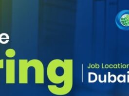 Senior Structural BIM Modeller