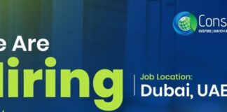 Senior Structural BIM Modeller