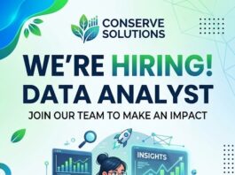 Data analyst