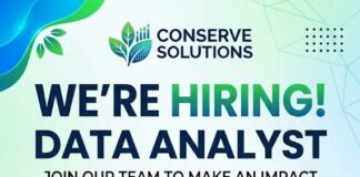 Data analyst