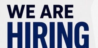 we are hiring freshers!