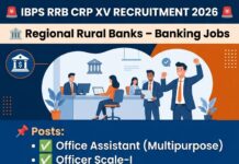 IBPS RRB CRP XV Recruitment 2026 IBPS RRB
