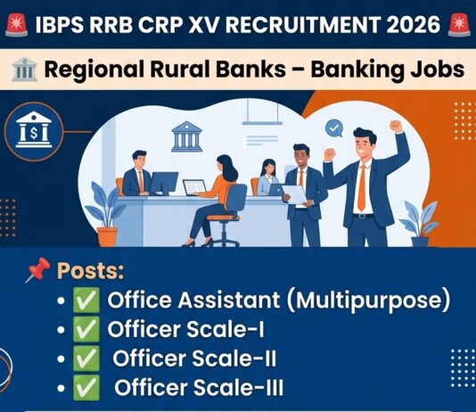 IBPS RRB CRP XV Recruitment 2026 IBPS RRB