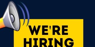 Career Opportunities for Fresh Graduates