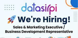 Join our team – Datasirpi is calling! Datasirpi-hiring