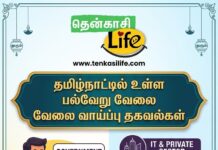 Various-Job-Posts-from-Governement-Private-sectors